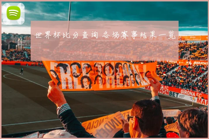世界杯比分查询 各场赛事结果一览
