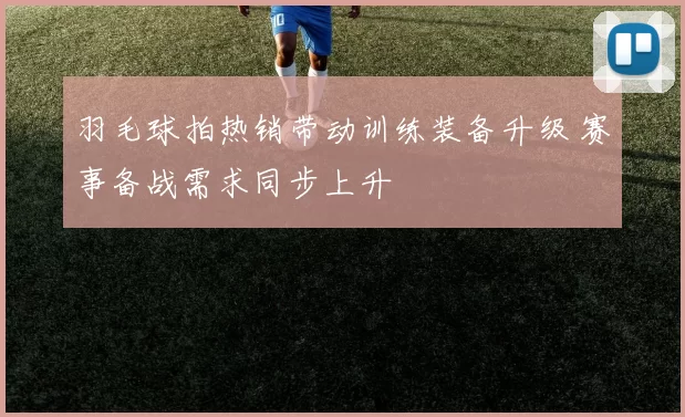 羽毛球拍热销带动训练装备升级 赛事备战需求同步上升